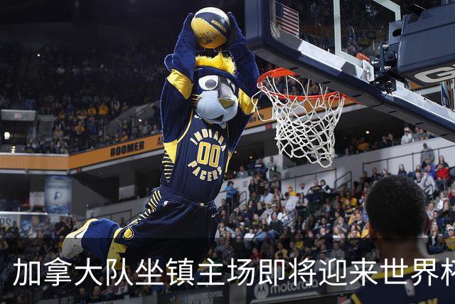 加拿大队坐镇主场即将迎来世界杯首战